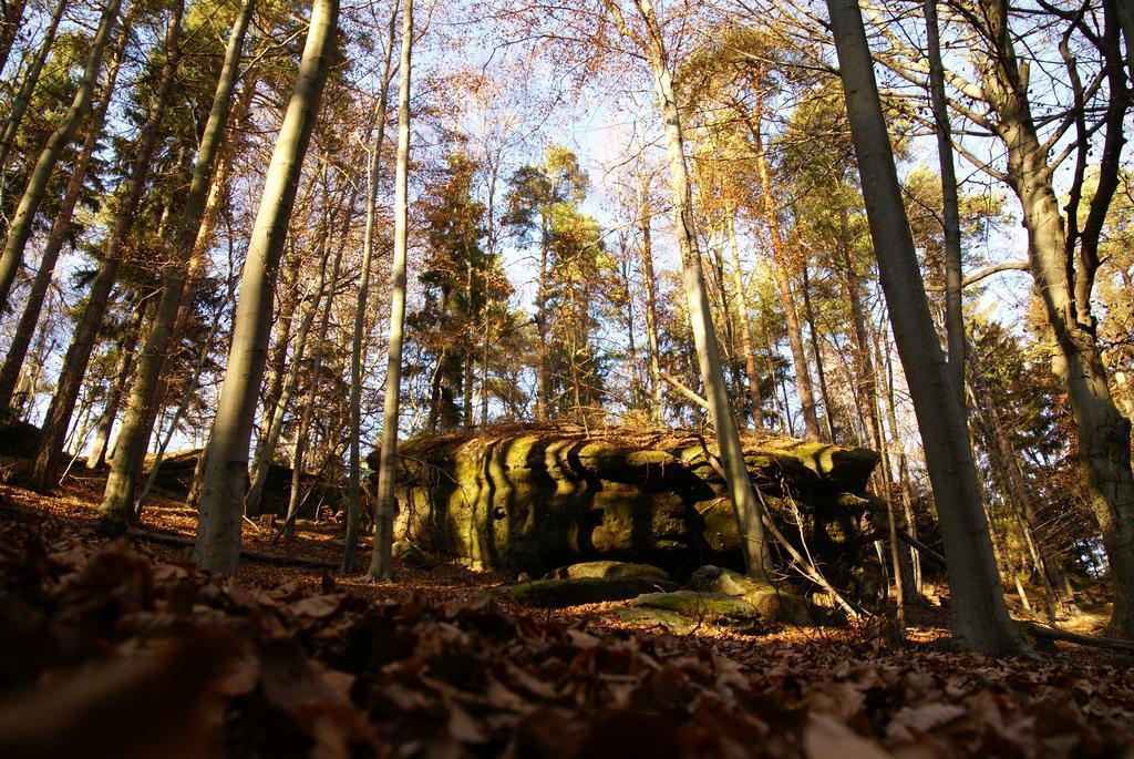 Landpension Bielatal - Raum Exterior foto